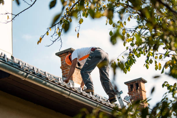 Best Gutter Installation and Roofing  in Delhi Hills, OH