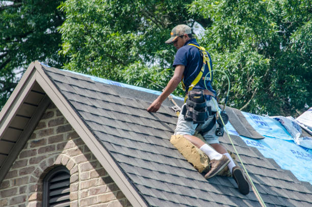 Best Roof Replacement Cost  in Delhi Hills, OH